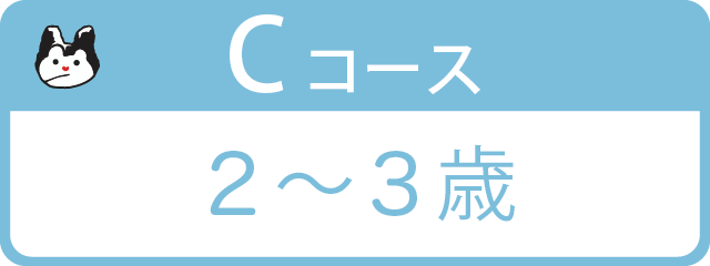 Cコース 2～3歳