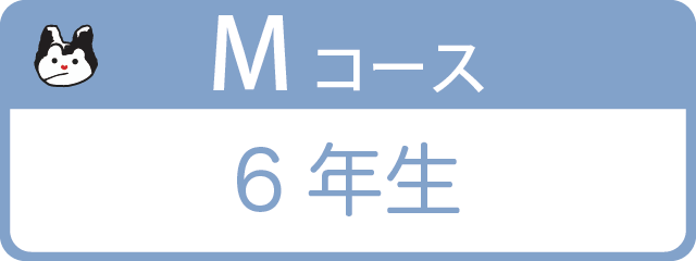 Mコース 6年生